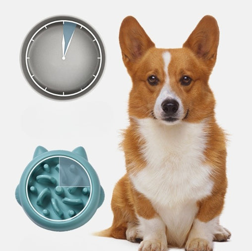 Slow feeder bowl for dogs and cats by Nick's Super Store, anti-choking and anti-gulping pet eating plate with raised sections.