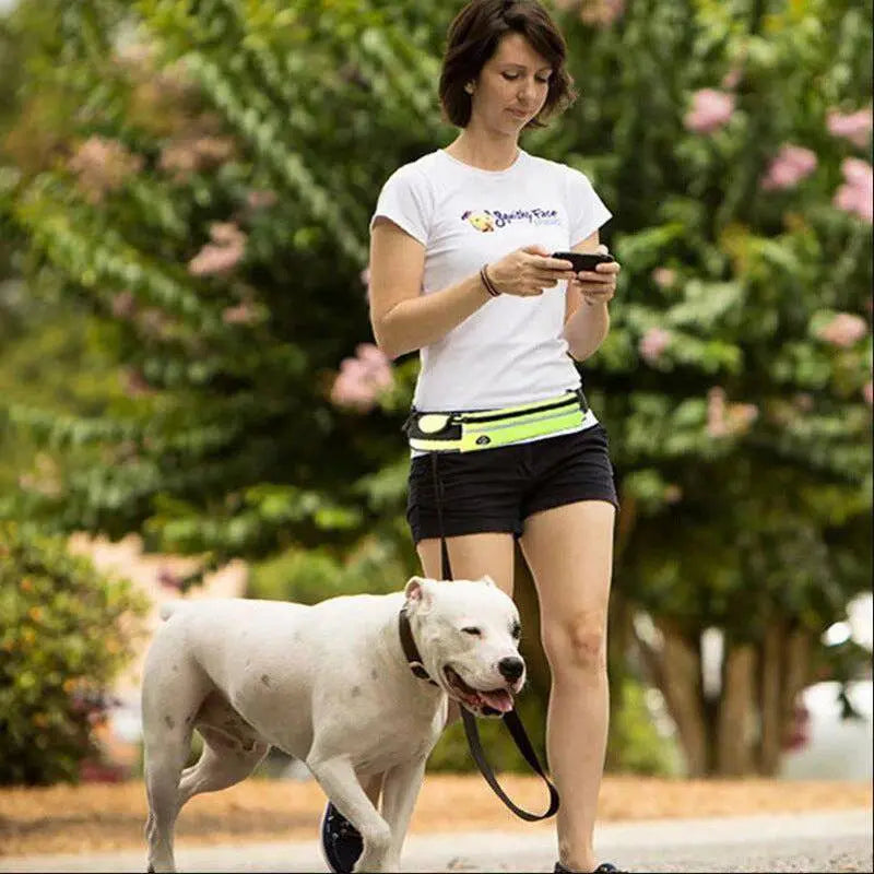 Nick's Super Store hands-free dog leash waist belt with shock-absorbing bungee, phone pocket, and water bottle holder for large dogs