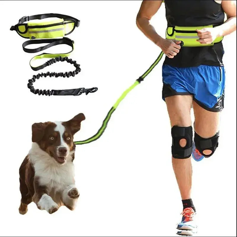 Black hands-free dog leash waist belt with shock-absorbing bungee, phone pocket, and water bottle holder for dogs up to 180 lbs.