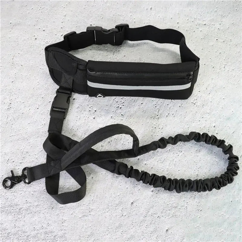 Black hands-free dog leash waist belt with shock-absorbing bungee, phone pocket, and water bottle holder for large dogs up to 180 lbs.