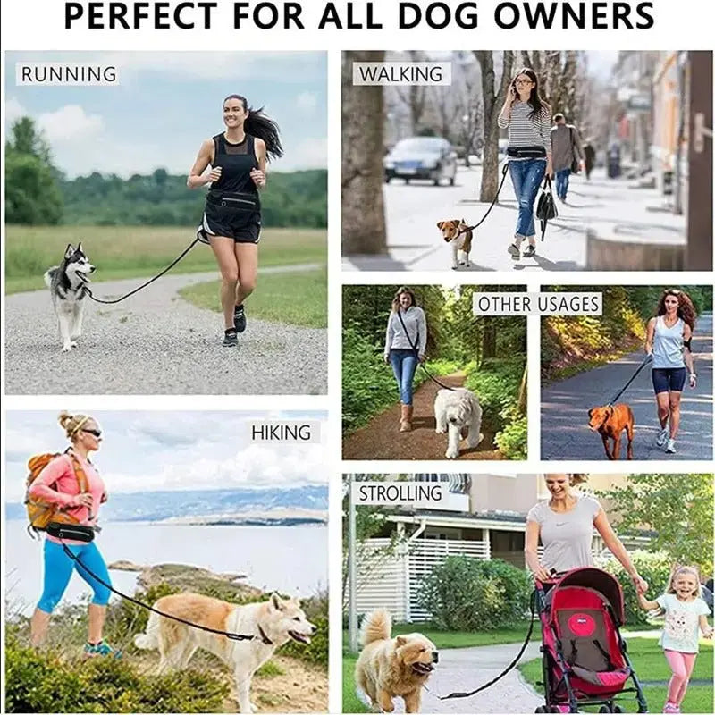 Black hands-free dog leash waist belt with shock-absorbing bungee, phone pocket, and water bottle holder for large dogs up to 180 lbs.
