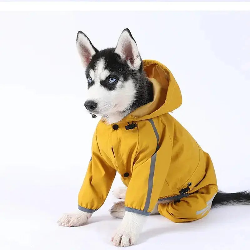 Blue and yellow waterproof dog raincoat from Nick's Super Store, lightweight and durable pet rain gear for rainy days.