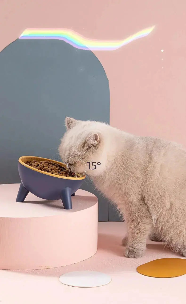 Nick's Super Store cat and dog bowl with stand, 15-degree tilt, Nordic green, food-grade, suitable for pets like cats, dogs, and rabbits.