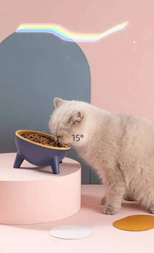 Nick's Super Store cat and dog bowl with stand, 15-degree tilt, Nordic green, food-grade, suitable for pets like cats, dogs, and rabbits.